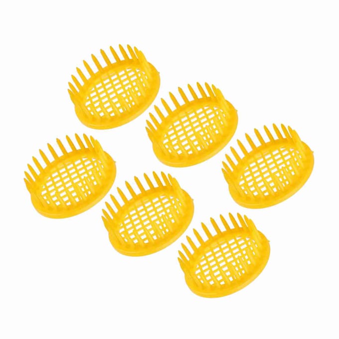 6 Stuks Koninginennesten Kweekbak Cel Bijenhouderij Apparatuur yellow