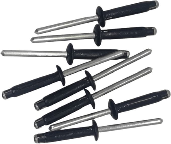 LB Tools Professionele popnagels kentekenplaat zwart (10 st)