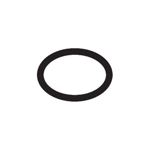Hansgrohe O-ring 19 x 1.5, 95962000
