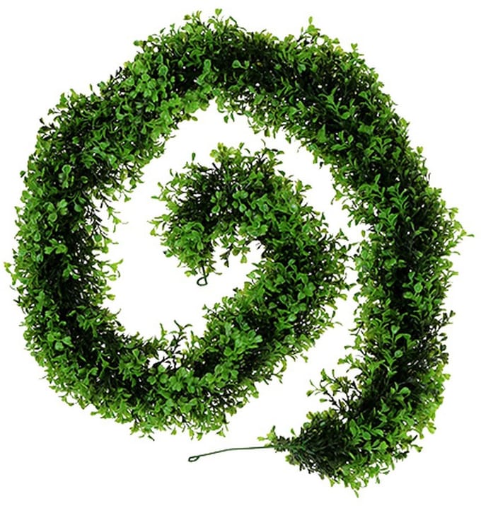 Buxus Slinger Groen L170cm