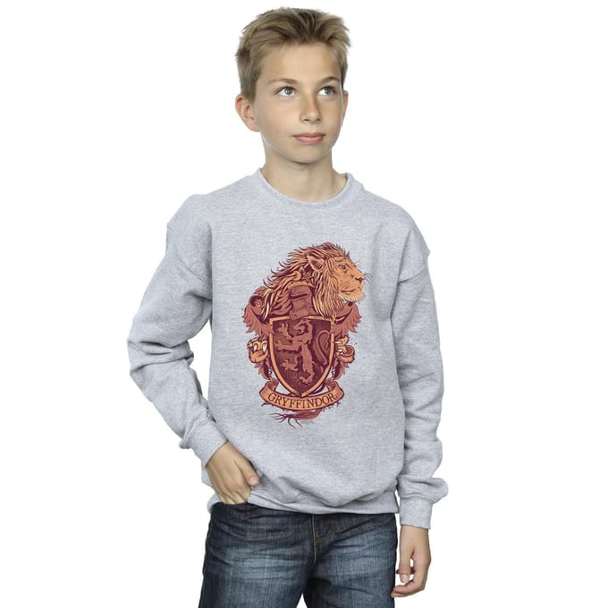 Harry Potter Jongens Gryffindor Schets Crest Sweatshirt (Sportgrijs)