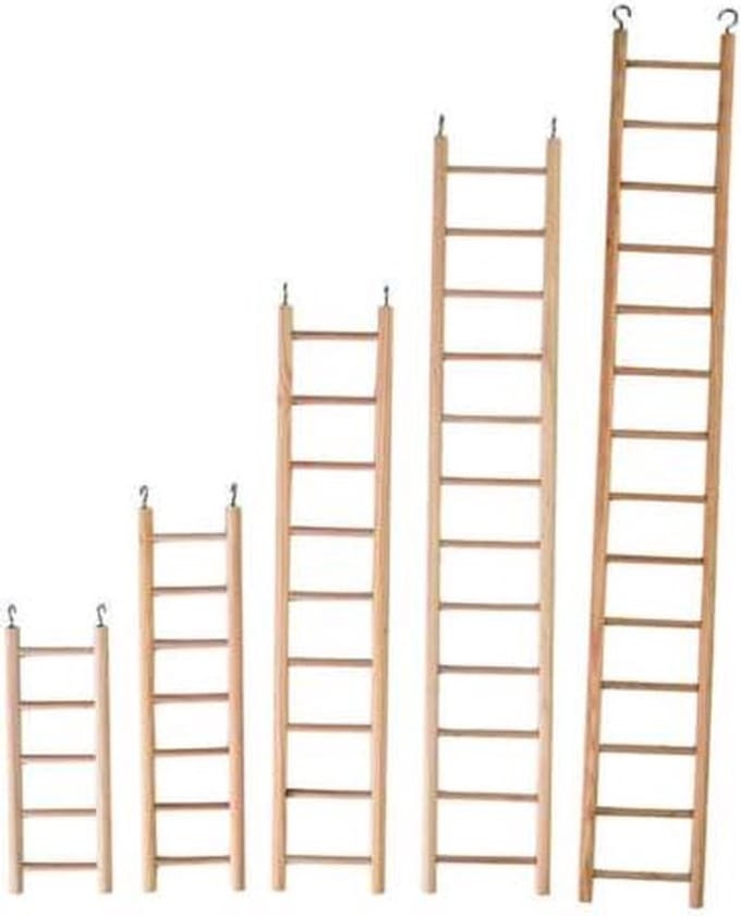 Benelux - VOGELSPEELGOED HOUTEN LADDER 5 TREDEN
