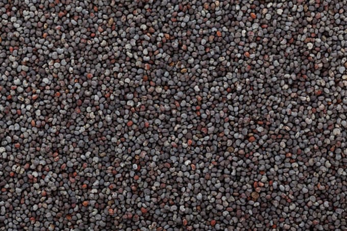 Blauwe maanzaad- Maanzaad blauw- Voer voor vogels- Visvoer- Maanzaad- 2 kilo