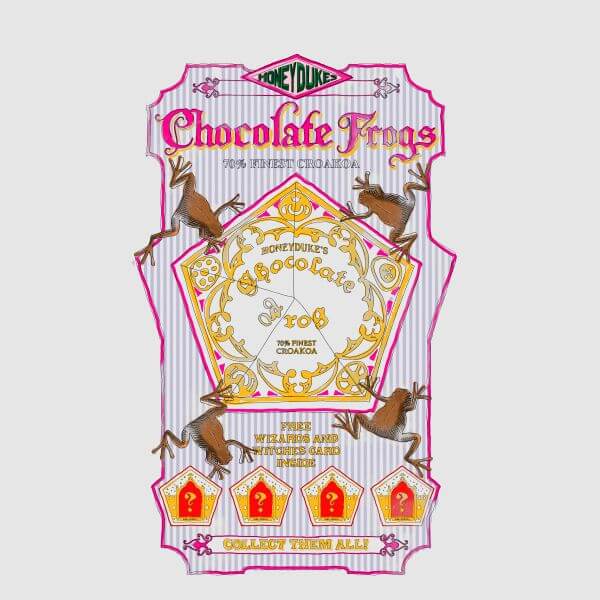 Harry Potter Chocolate Frog dames t-shirt - Grijs - S