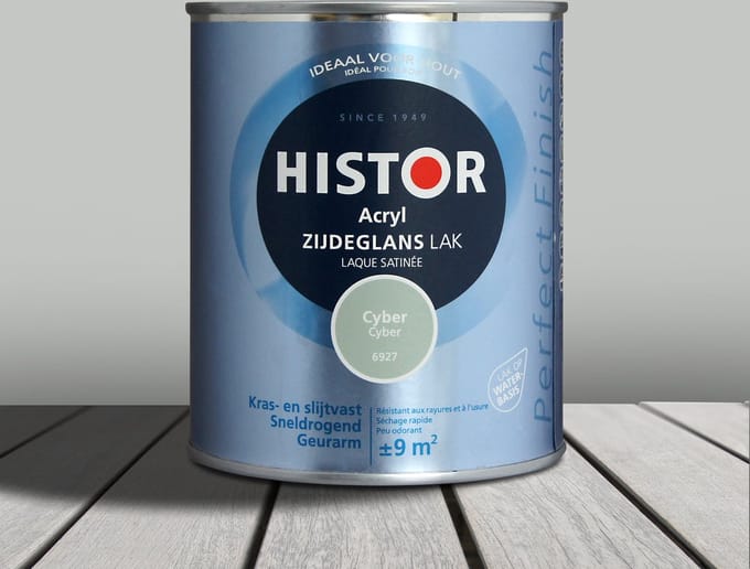 Acryl Zijdeglans Lak 750 ml Cyber