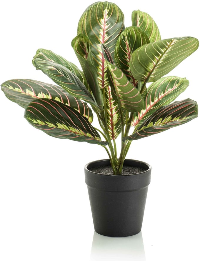Emerald - Kunstplant in pot Maranta 30cm - Kunstplant voor binnen