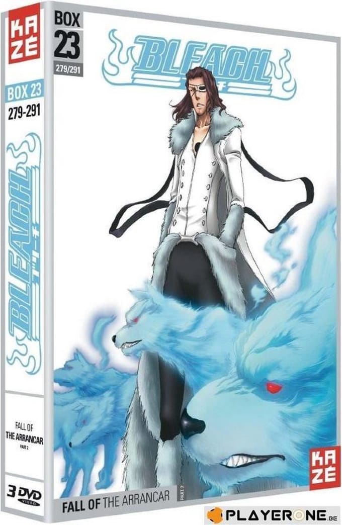 DVD - BLEACH - Box 23 - Saison 5 (Coffret 3 DVD)