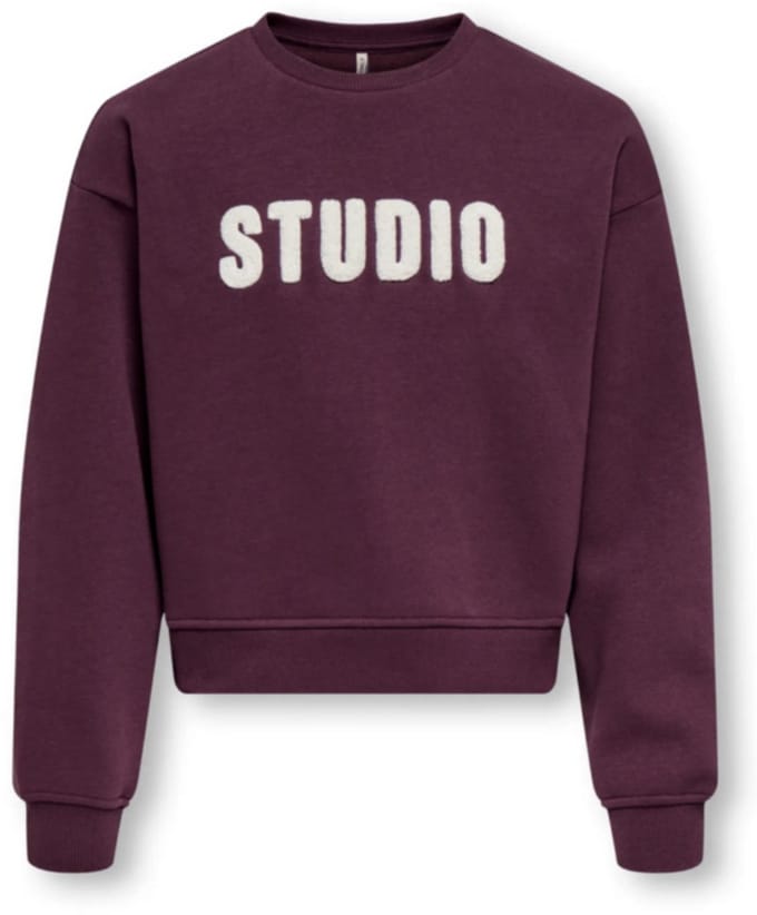ONLY- KOGSWEAT LS CREW OVZ STAT SWT NOOS - Heren - Sweatshirt