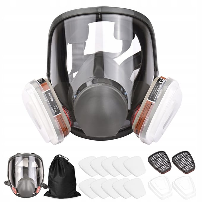 Volgelaatsgasmasker voor het Spuiten van Lak - Type 6800