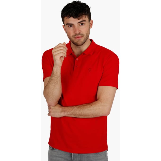 Q1905 Polo shirt willemsdorp -