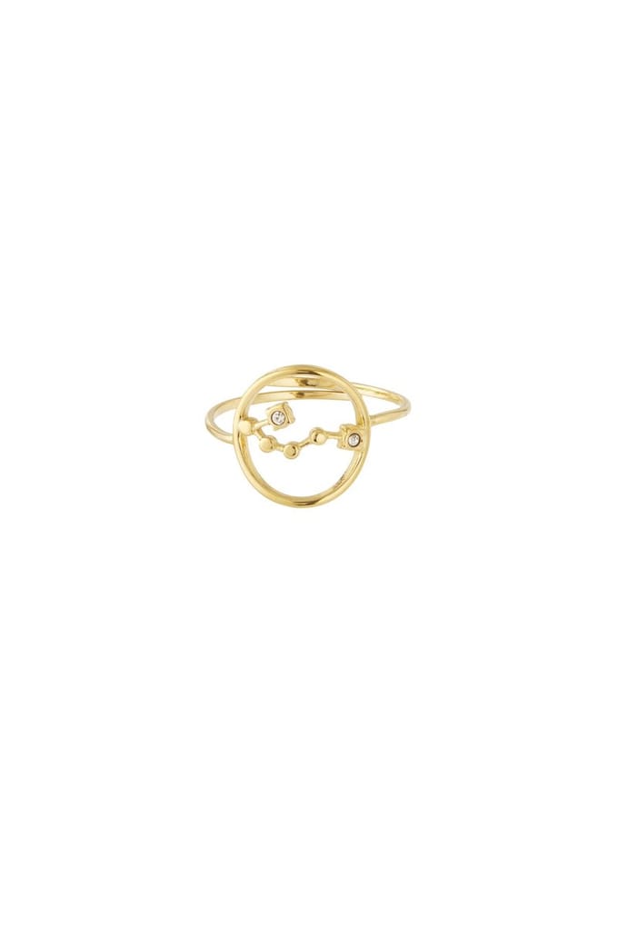 12 zodiac-ringen - Goudkleur