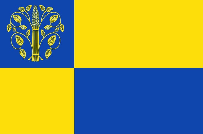 Vlag Westerwolde 200x300cm