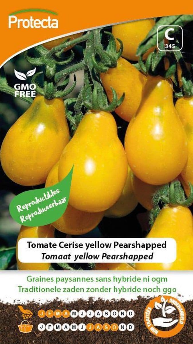 Protecta Groente zaden: Tomaat yellow Pearshapped
