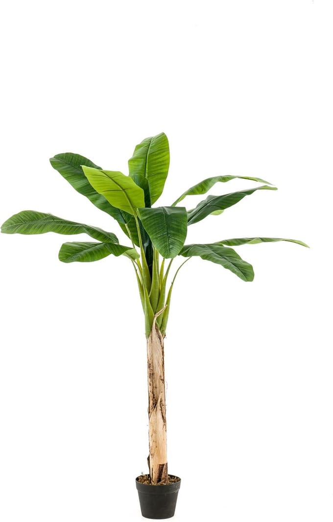 Emerald - Kunstboom Bananenboom 150cm - Kunstplant voor binnen
