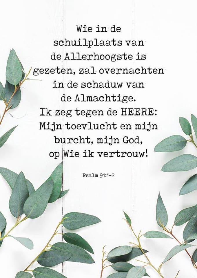 10 stuks Wie in de schuilplaats| Christelijke kaart met envelop| Majestically
