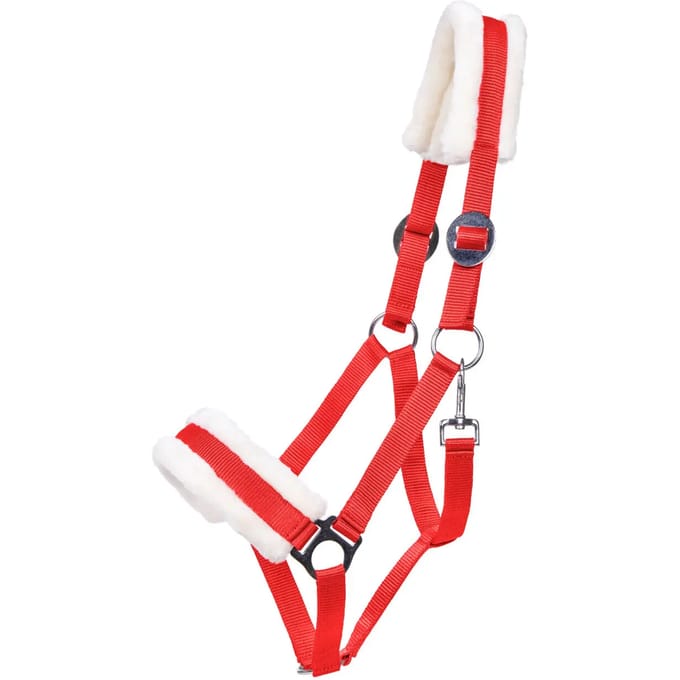 Pony halster Q-essentials Cali