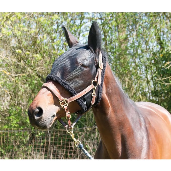 Muts voor weidepaarden T de T