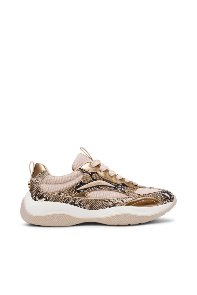 Steve Madden Premio Sneakers Light Bronze Größe: 36 | Trainers Outlet | Damen | Braun