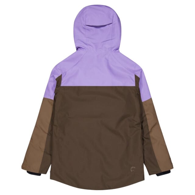 Picture Exa Skijas dames Bruin S/36