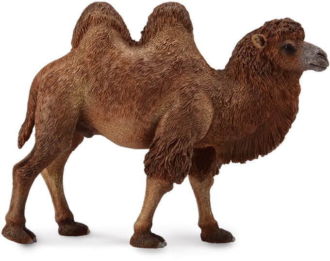COLLECTA Figurine - Kameel - (L) - Wilde Dieren - Handgeschilderd - Miniatuur