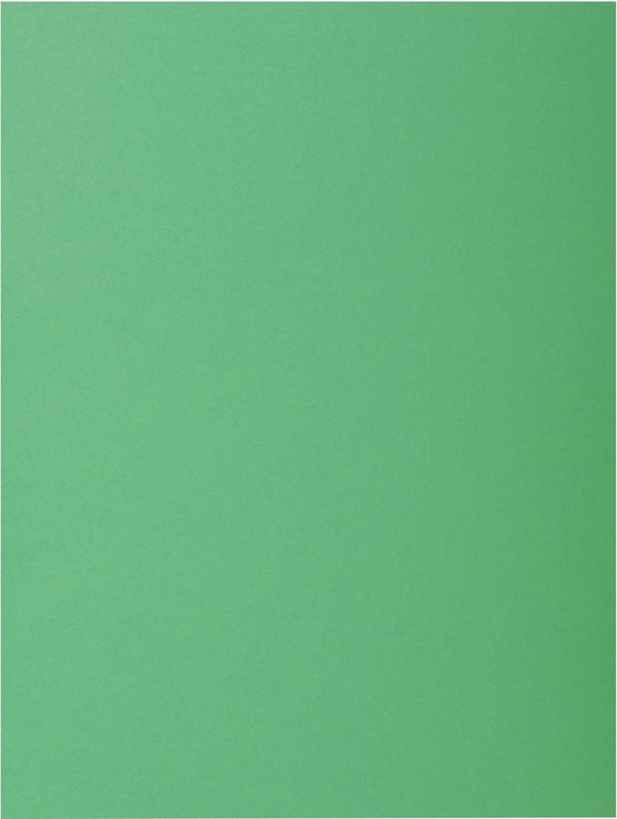 Exacompta ROCK''S 80 - Pak van 100 inlegmappen 22x31cm voor A4 - Dennengroen - 800004E