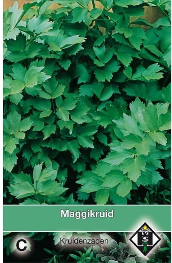 Van Hemert - Maggikruid zaden (Levisticum officinale)