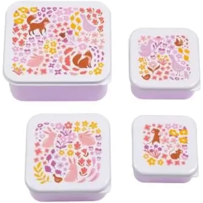 A Little Lovely Company | Lunch & Snack Box Set Bloementuin