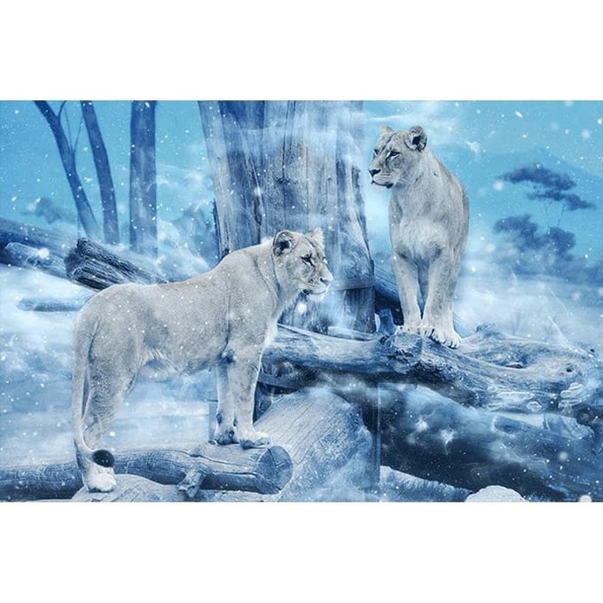 DIY diamant borduurwerk luipaarden volledige ronde diamant schilderij kruissteek 20X30CM white