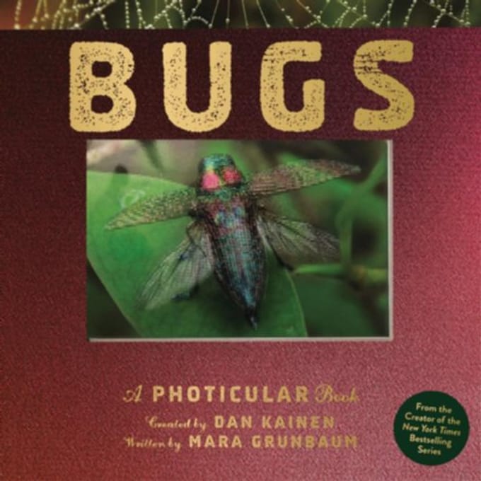 Bugs - Photicular - Dan Kainen