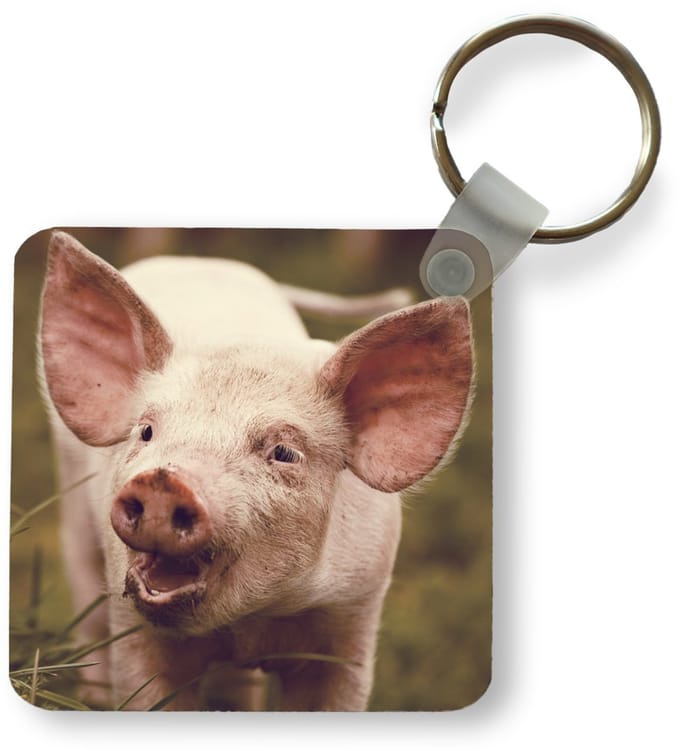 Sleutelhanger - Uitdeelcadeautjes - Varken - Portret - Dier - Plastic