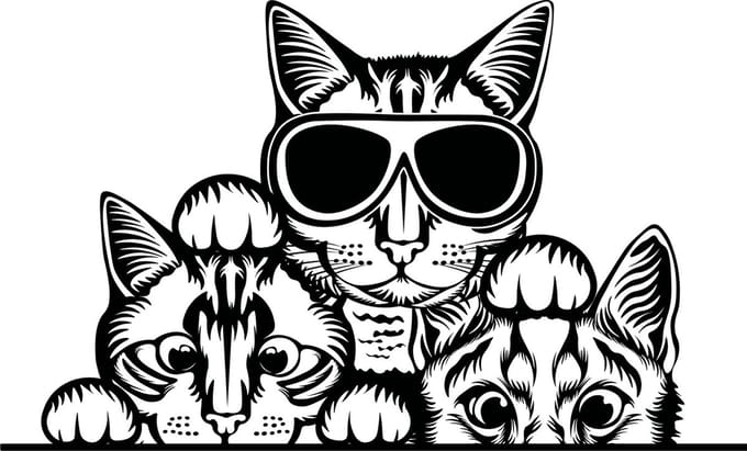 Raam- auto- bumper sticker 3 grappige gluur katten - poezen wallart