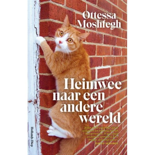 Heimwee Naar Een Andere Wereld - Ottessa Moshfegh