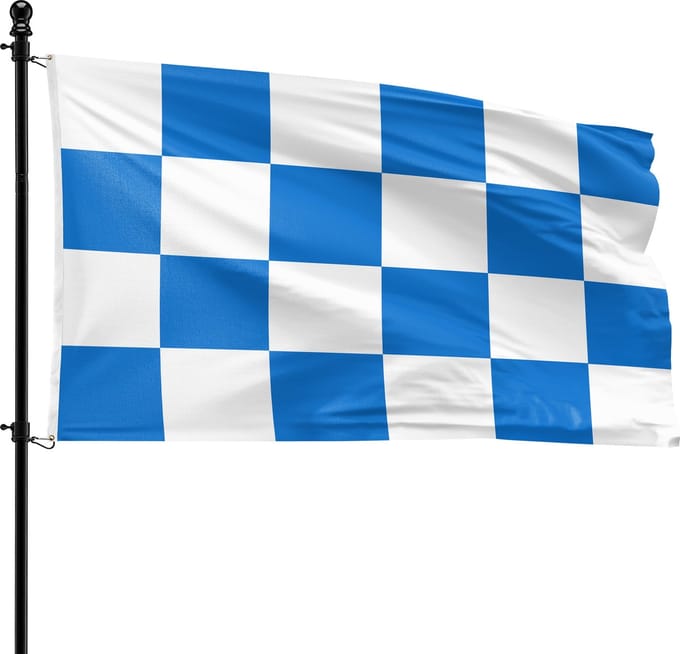 VlagDirect - Dalfsen vlag - Gemeente Dalfsen vlag - 90 x 150 cm.