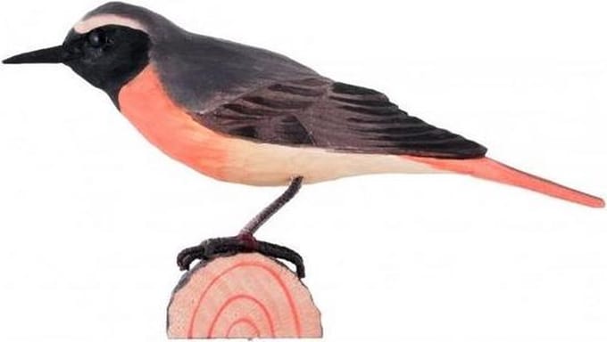 Wildlife Garden Decobird rougequeue à front blanc