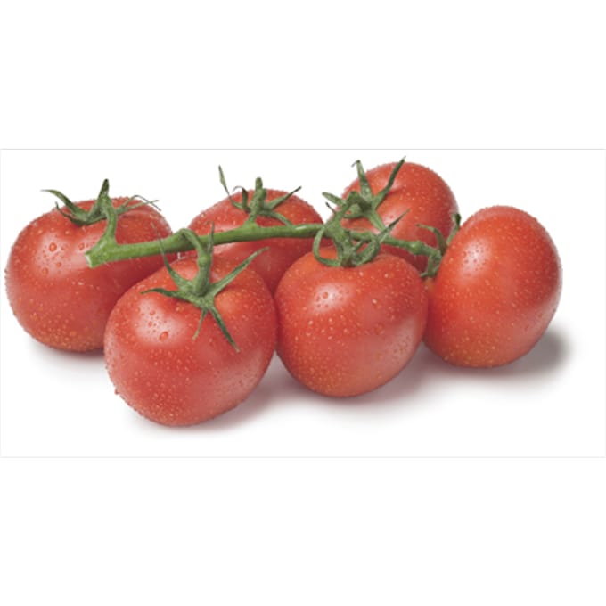 Trostomaten
