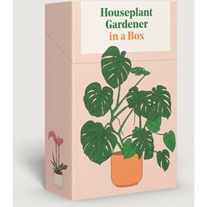 Houseplant Gardener In A Box - Jane Perrone