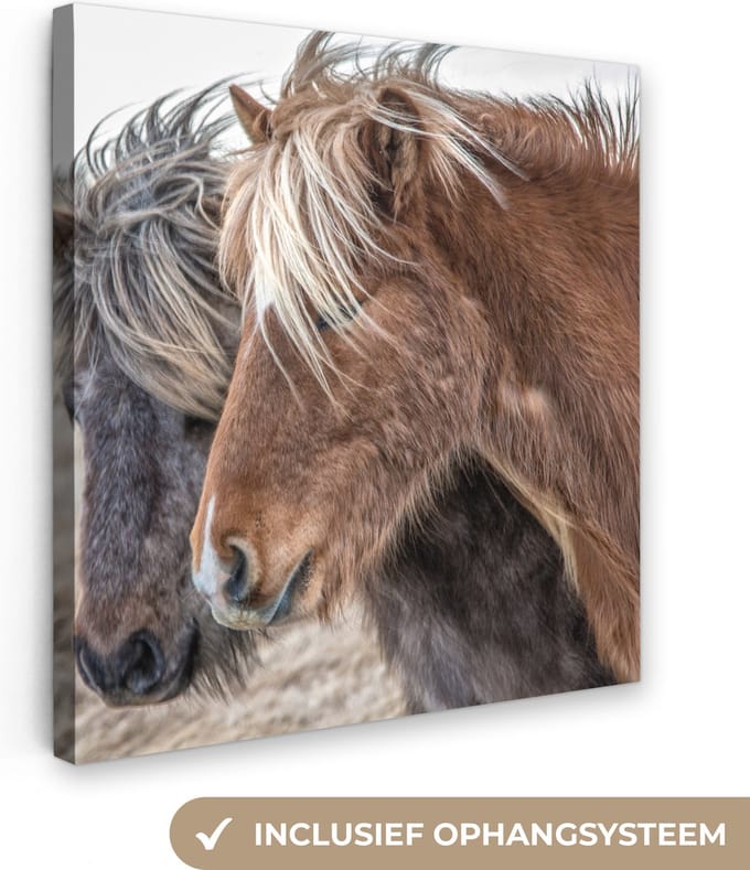 Canvas Schilderij Paarden - Natuur - Macro - 90x90 cm - Wanddecoratie