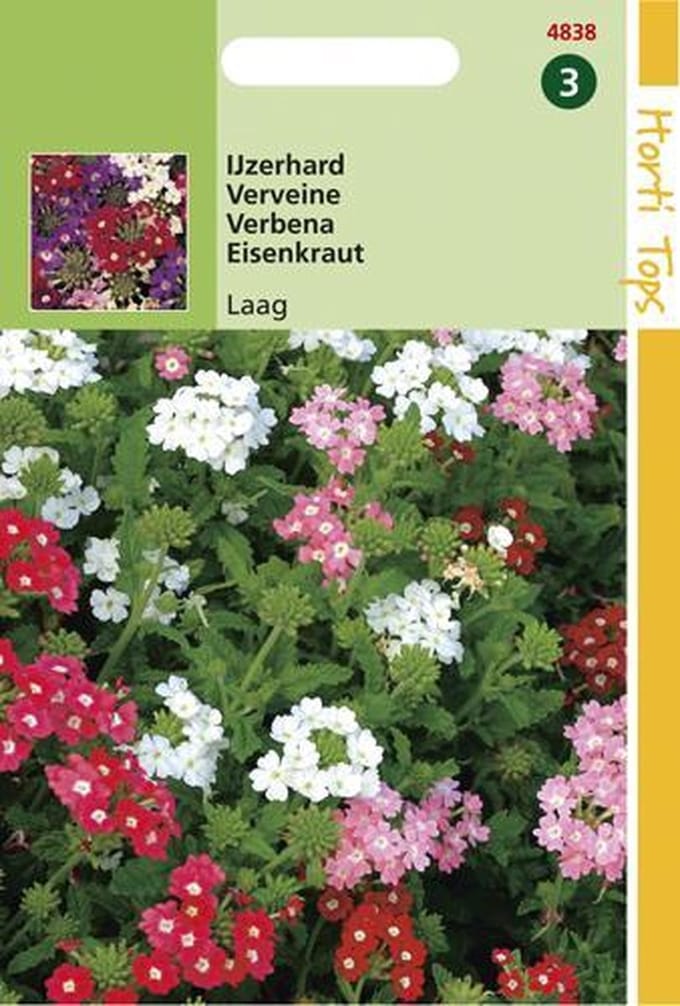 Hortitops zaden - Ijzerhard Bloemzaad - Compacta - Kleurenmengsel