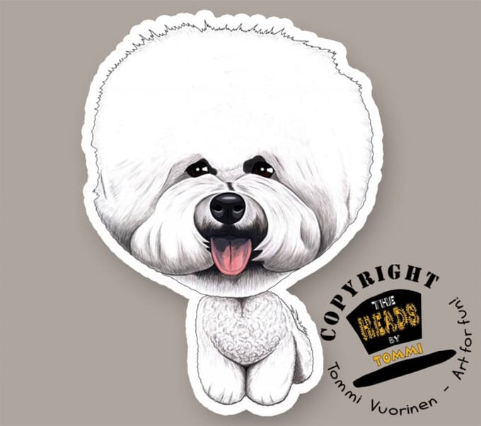 Magneet Hond Bichon Frise