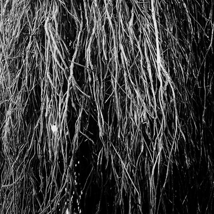 Merzbow, Iggor Cavalera & Eraldo Bernocchi - Nocturnal Rainforest (LP)