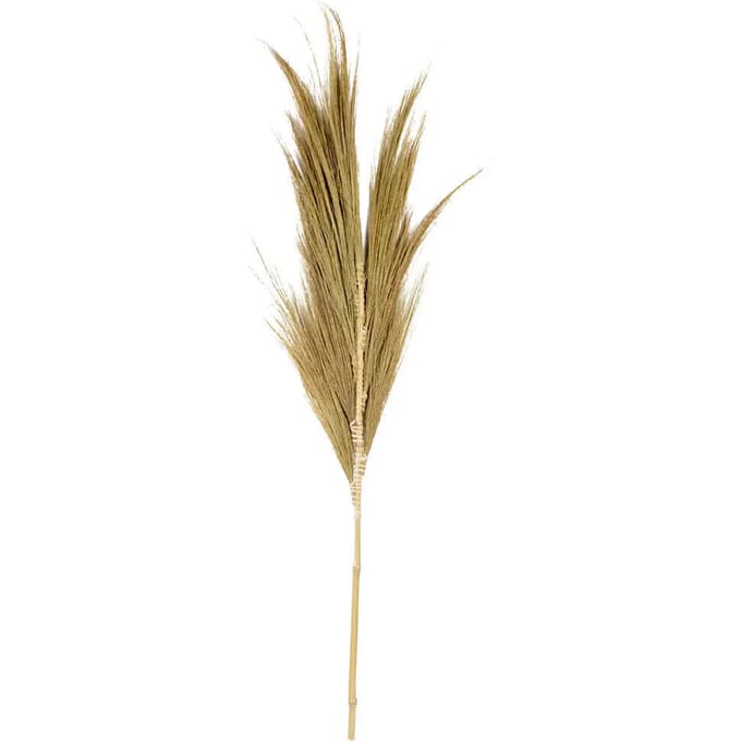 Decoratief object Pole To Pole Mini Hay Plume