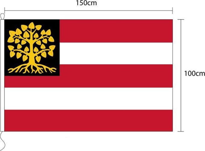 Vlag van Den Bosch 100 x 150cm