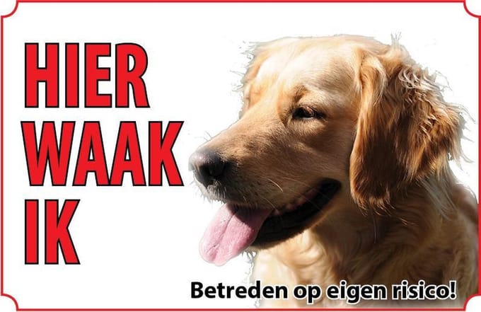 Bord - Hond Golden Retriever