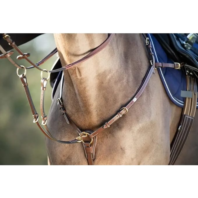 Jachthalsband voor paarden HFI "Long bridge"