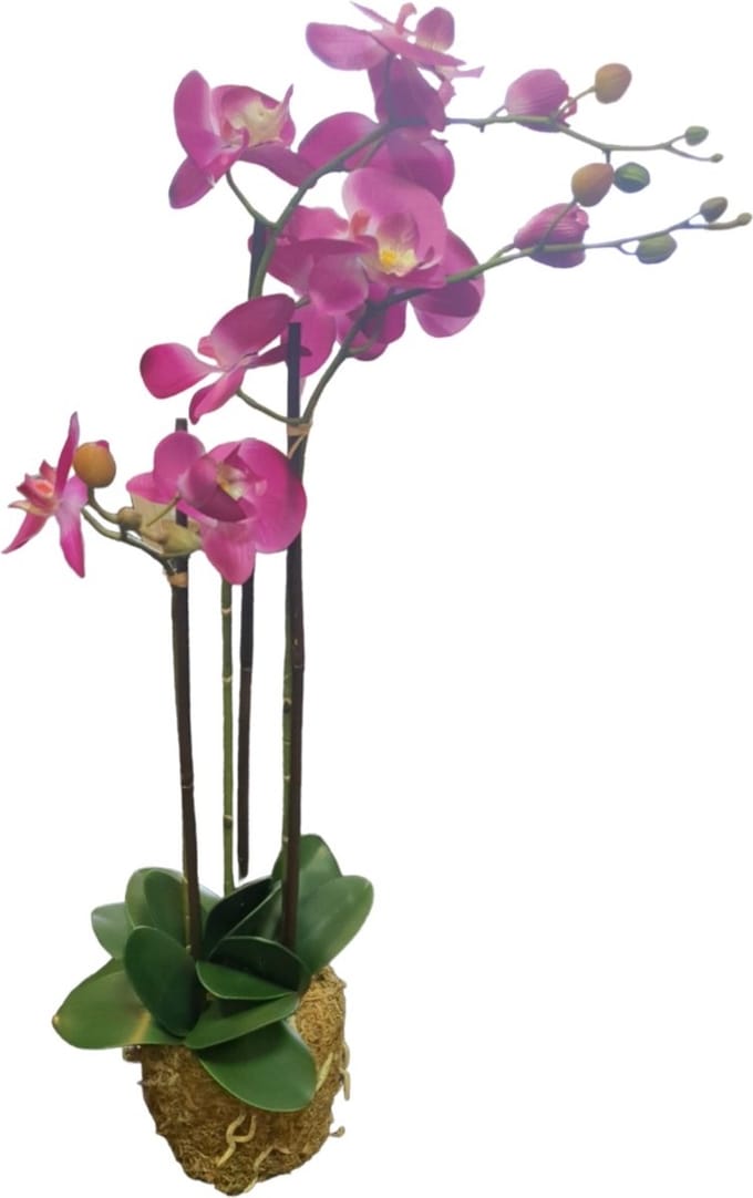 Mica Decorations Kunstplant Phalaenopsis paars 30x18x76cm