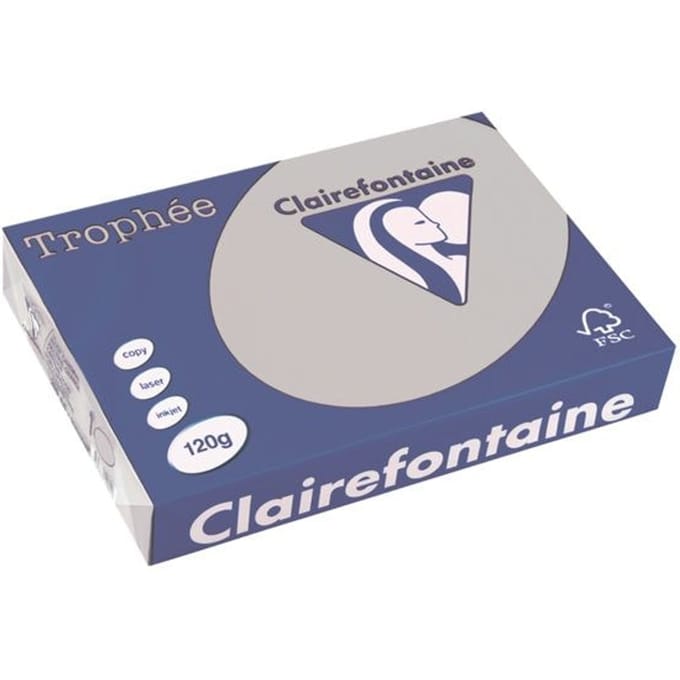 Clairefontaine Lichtgrijs A4 Gekleurd papier 120 grams (250 vel)