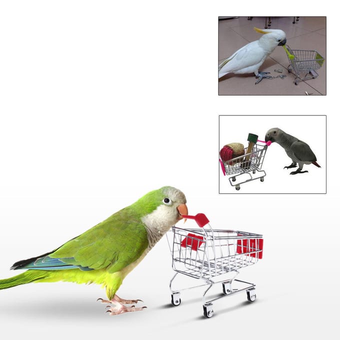Mini panier de courses en métal mignon, jouet pour perroquet, oiseau de compagnie, pour Conures, perruches, tourtereaux, calopsittes white
