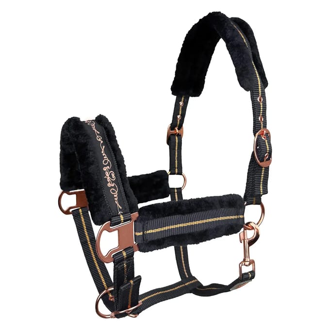 Halster voor paarden York Lira