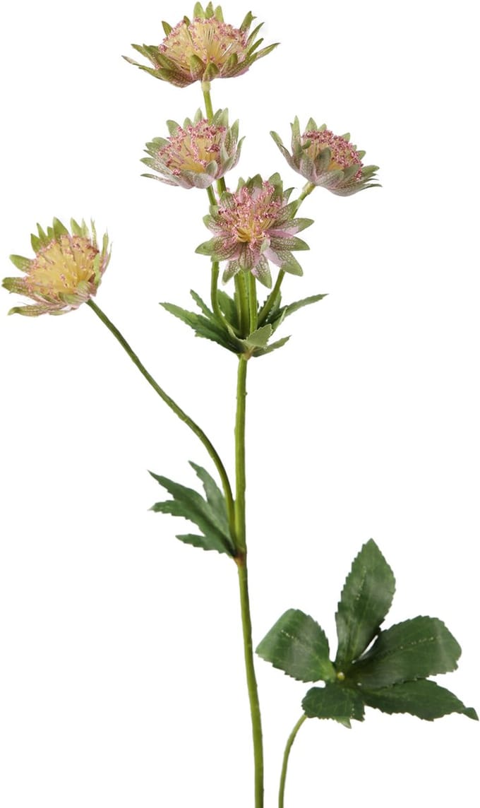 Viv! Home Luxuries Astrantia - kunstbloem - roze groen - 64cm