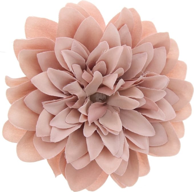 Zac's Alter Ego - Large chrysanthemum Haarbloem - Beige